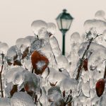 Georgetown Ice Storm 2013