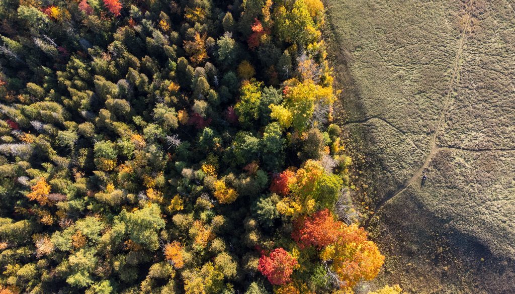 Fall Scotsdale farm - GeorgetownOn Magazine Fall Scotsdale farm