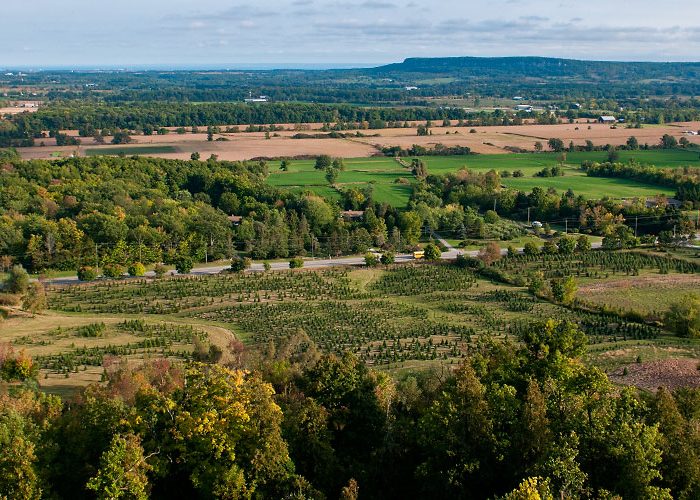 Rattlesnake Point Rocks