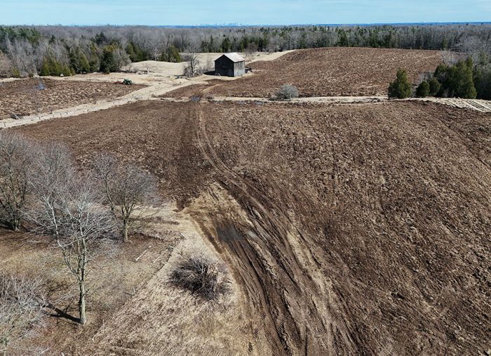 Scotsdale farm. Filming 2025
