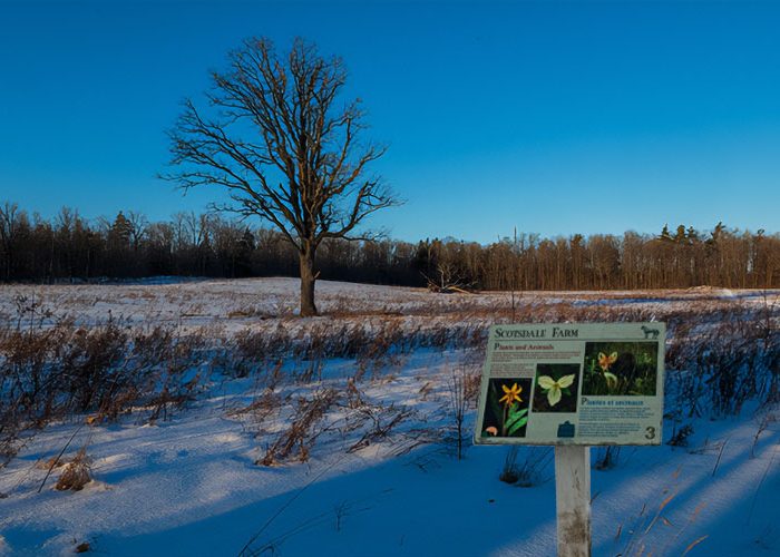 Scotsdale Farm in winter
