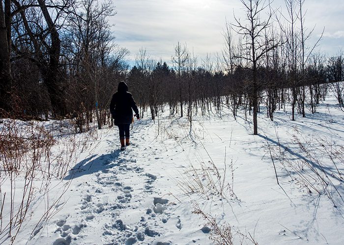 Scotsdale Farm in winter