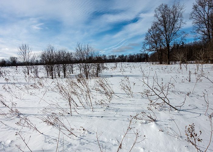 Scotsdale Farm in winter