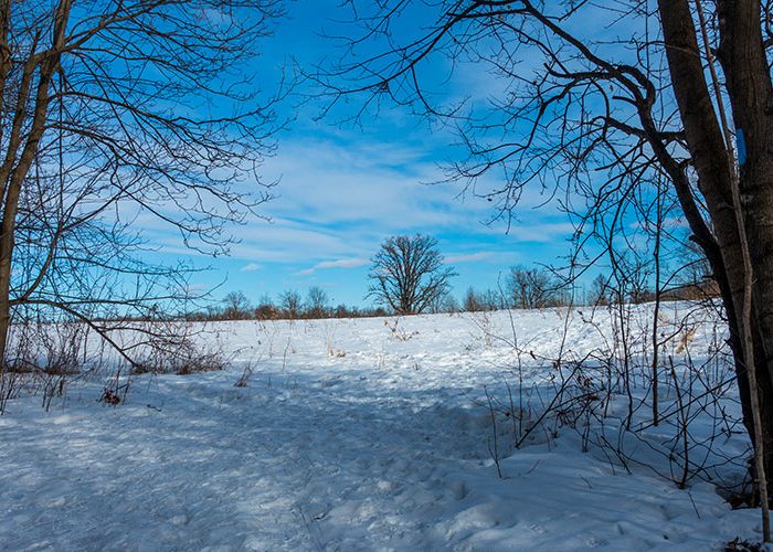 Scotsdale Farm in winter