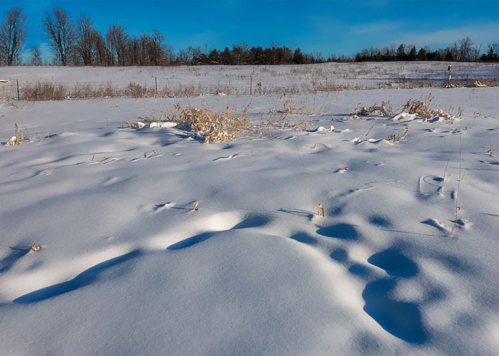 Scotsdale Farm in winter