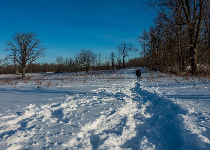 Scotsdale Farm in winter