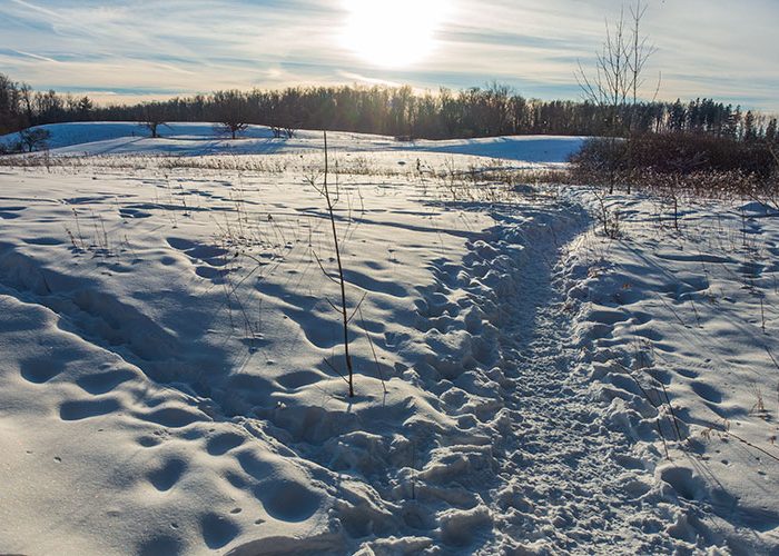 Scotsdale Farm in winter
