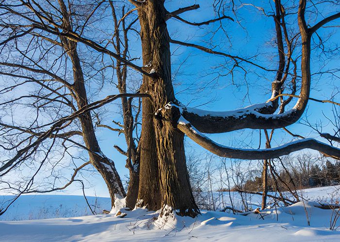 Scotsdale Farm in winter