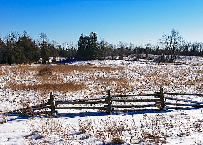 Scotsdale Farm in winter