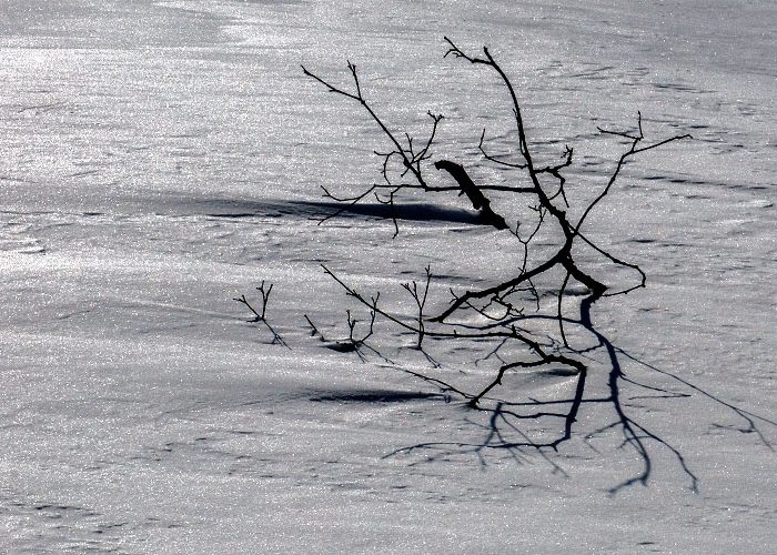 Scotsdale Farm in winter