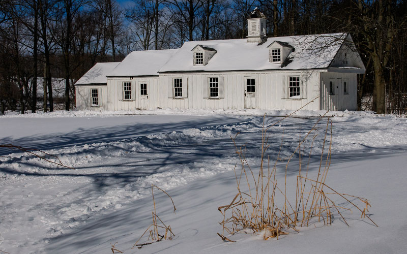 Scotsdale farm. Winter 2024