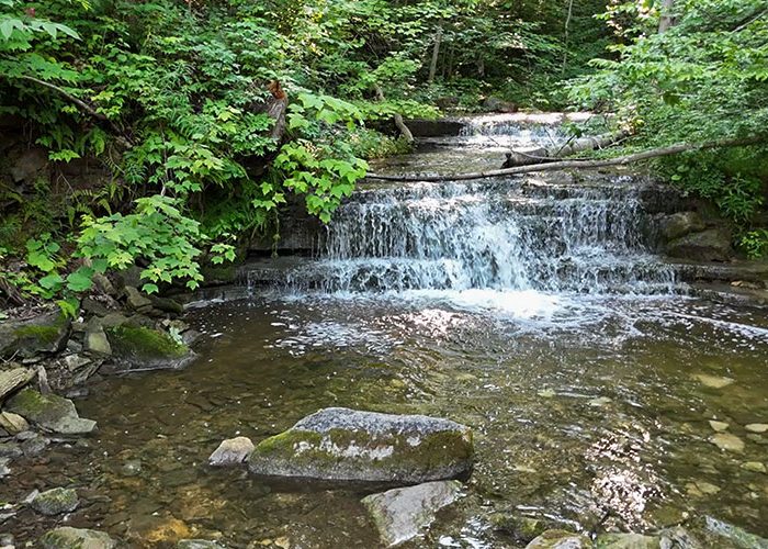 Silver Creek. Falls. 2024