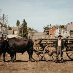 Georgetown Main Street 1845