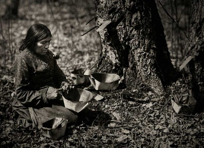 Maple syrup. Short history