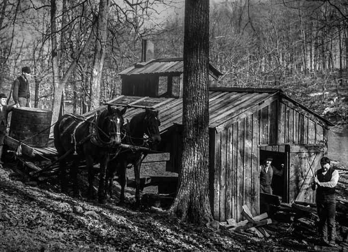 Maple syrup. Short history