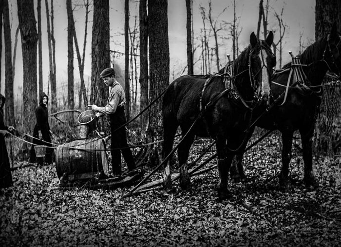 Maple syrup. Short history