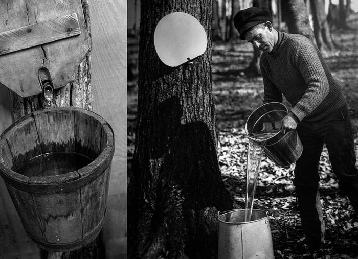Maple syrup. Short history