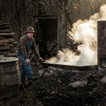 History of Maple Syrup in Canada