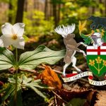 Trilllum Ontario Symbol