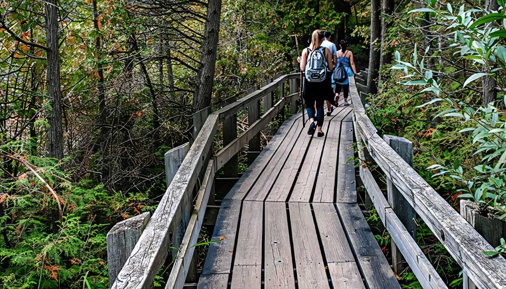 Three hikers with backpacks walk away along a weathered wooden boardwalk through a dense green forest, railings on both sides visible.